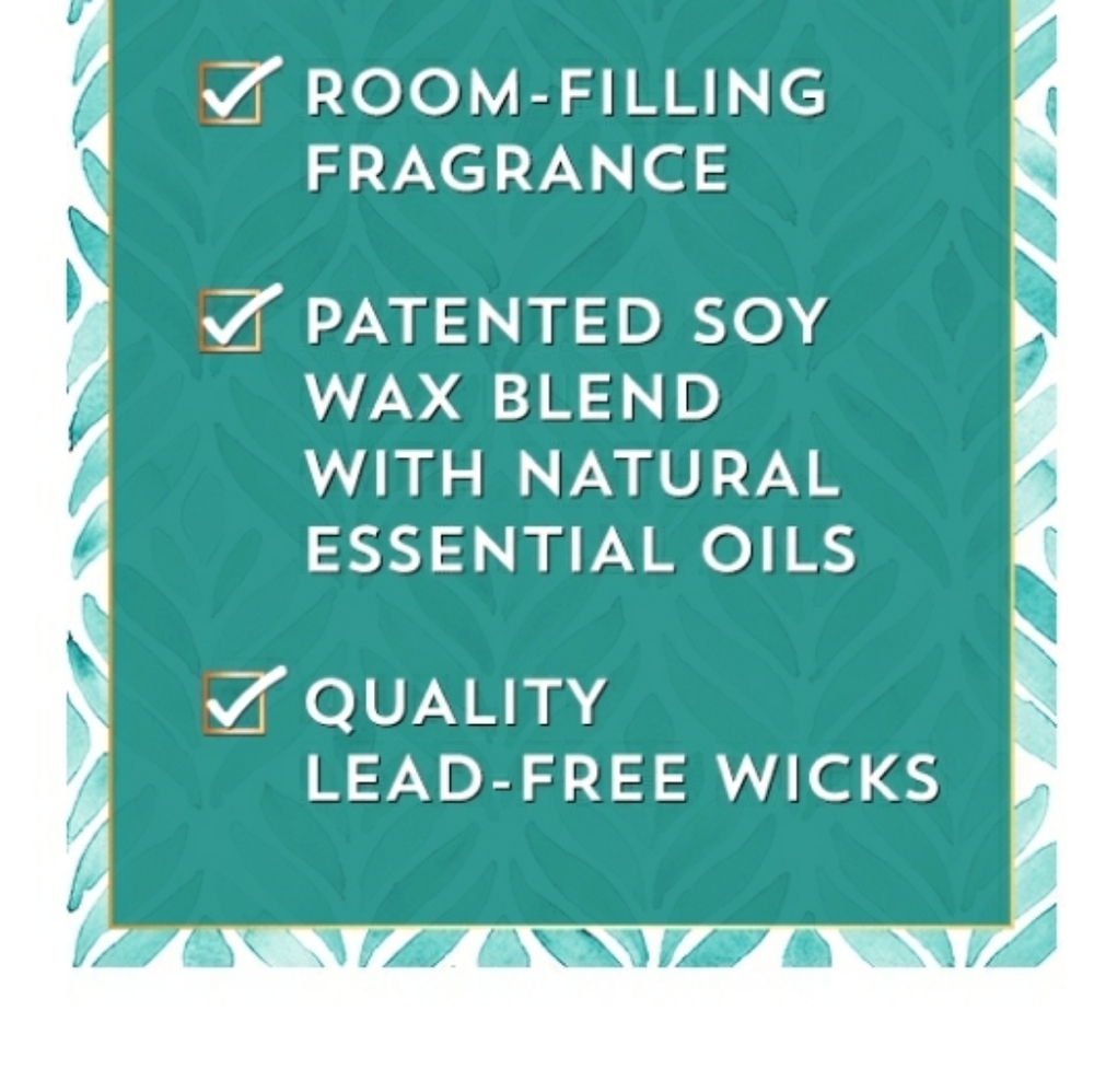 ORANGE GINGER "ENERGY" SINGLE WICK CANDLE - Picture 2 of 2